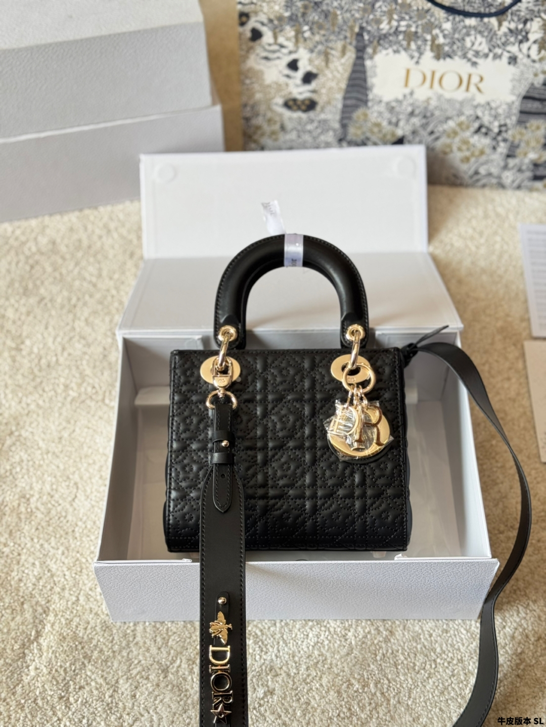 DIOR bag 401